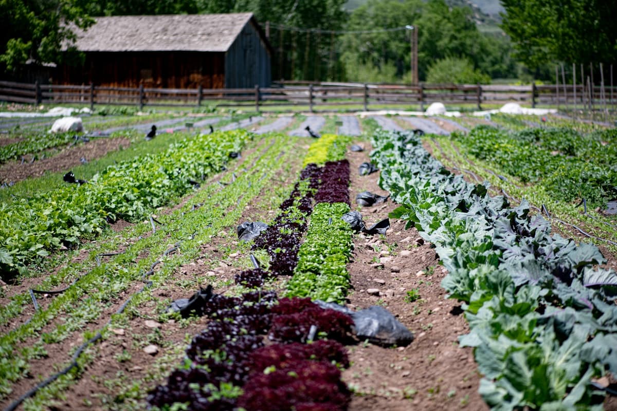 The Organic Farmer's Guide to Digital Record-Keeping: What NOP Requires and How to Stay Ahead